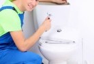 Cooltongtoilet-replacement-plumbers-2.jpg; ?>